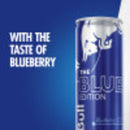Red Bull Blue Edition Blueberry Energy Drink, 12 fl. oz., 6 Packs of 4 Cans
