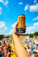 Monster Rehab Tea + Lemonade + Energy, Energy Drink 15.5 Ounce