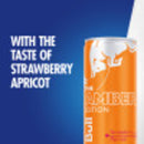 Red Bull Amber Edition Strawberry Apricot Energy Drink, 12 fl. oz., 6 Packs of 4 Cans